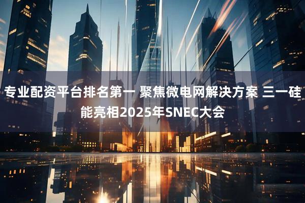 专业配资平台排名第一 聚焦微电网解决方案 三一硅能亮相2025年SNEC大会