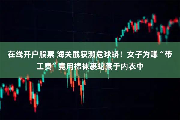 在线开户股票 海关截获濒危球蟒！女子为赚“带工费”竟用棉袜裹蛇藏于内衣中