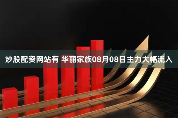 炒股配资网站有 华丽家族08月08日主力大幅流入