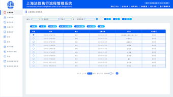 后台系统 办公系统 法院政府管理系统 执行管理系统